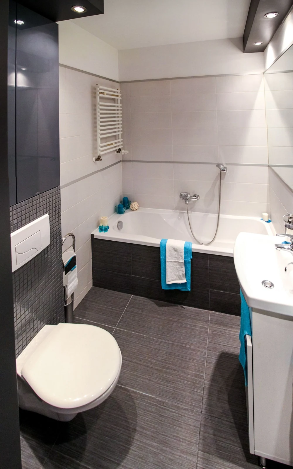 Compact bathroom with a shower and toilet